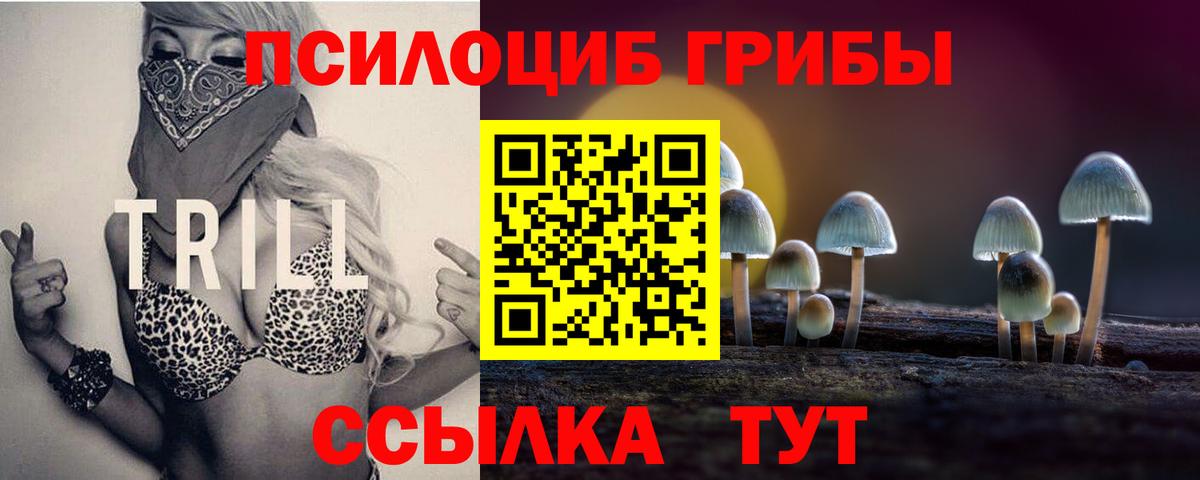 Галлюциногенные грибы Cubensis  Псилоцибиновые грибы Cubensis  Киселёвск  Вход с VPN 